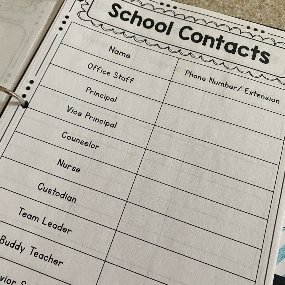 TEACHER GRAB BAG Substitute Teacher Binder - Picture 11 of 15